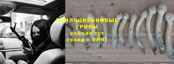 ALPHA PVP Елизово