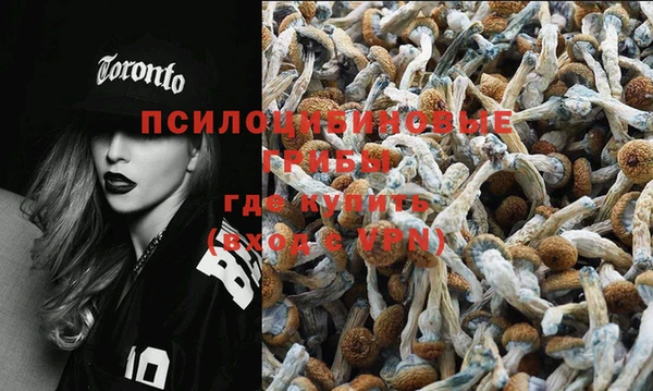 прущая мука Белокуриха