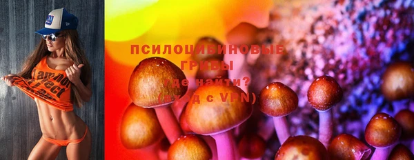 прущая мука Белокуриха